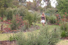 The Mythic Mazes - Local Tourism 0