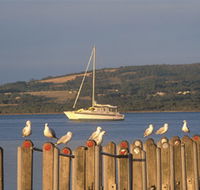 Oyster Harbour - Local Tourism