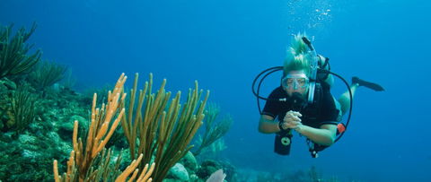Coastal Water Dive - Accommodation Australia 0
