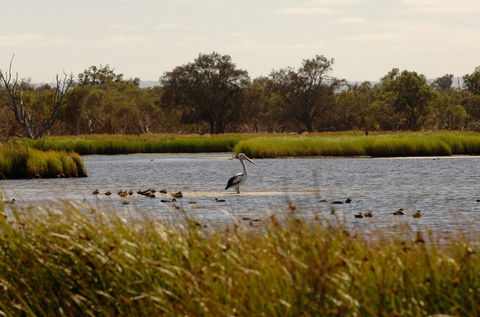 Anytime Adventures In Mandurah & The Peel Region - Local Tourism 0