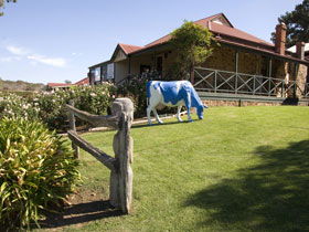 Longview Vineyard - Local Tourism 0