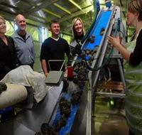 Eyre Peninsula's Seafood Trail - Local Tourism