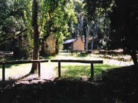 Wirrabara Forest Reserve - Local Tourism 0
