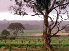  Accommodation Australia