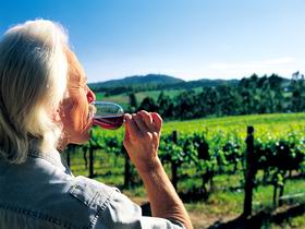 Ashton Hills Vineyard - Accommodation Australia 0