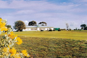 Lucindale SA Accommodation Australia