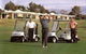 Barmera Country Club - thumb 0