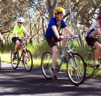 Penola Cycling Trails - Local Tourism
