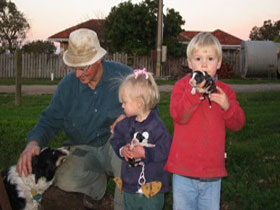 Orrie Cowie Merino And Poll Merino Stud - Local Tourism 0