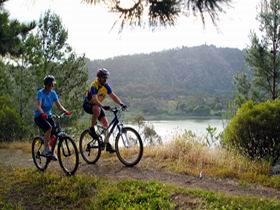 Mount Gambier Crater Lakes Mountain Bike Trail - Bed n Breakfasts 0