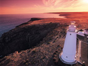 Lashmar Conservation Park - Accommodation Australia 0