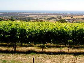  Local Tourism