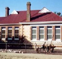 Maitland Museum - Local Tourism