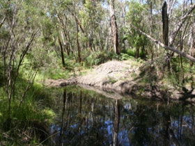Para Wirra Recreation Park - Accommodation Australia 0