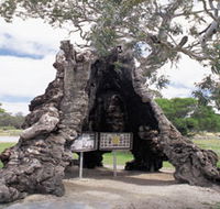 The Herbig Family Tree - Local Tourism