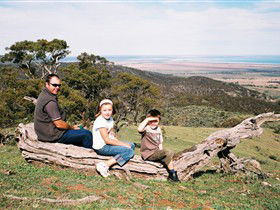 Bridle Track - Local Tourism 0