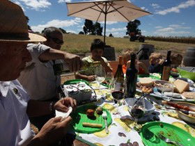 God's Hill Wines - Accommodation Australia 0
