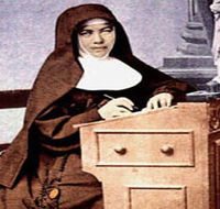 Mary MacKillop Penola Centre - Local Tourism