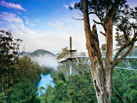Surges Bay TAS Accommodation Australia