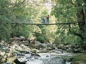 Arve Forest Drive - Local Tourism 0