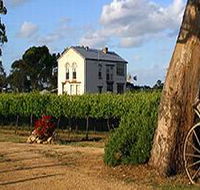 Highbank Vineyards - Local Tourism