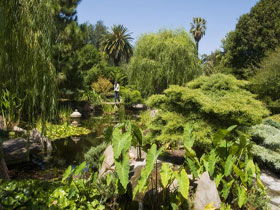 Adelaide Himeji Garden - Accommodation Australia 0