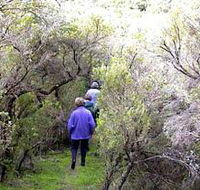 Jack And Hilda McArthur Walk - Local Tourism