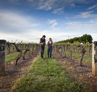 Coonawarra Wineries Walking Trail - Local Tourism