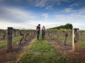 Coonawarra Wineries Walking Trail - Bed n Breakfasts 0