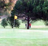 Meningie Lake Albert Golf Club - Local Tourism