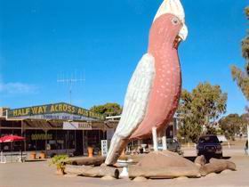  Local Tourism