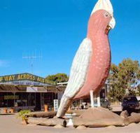 The Big Galah - Local Tourism