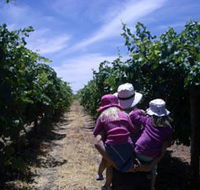 McLaren Vale Orchards - Accommodation Australia