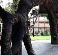 Old Gum Tree - Local Tourism