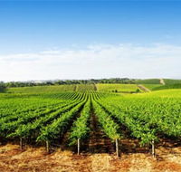 Aldinga Bay Winery - Local Tourism