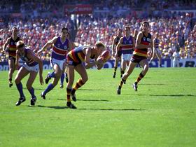 AAMI Stadium Tours - Local Tourism 0