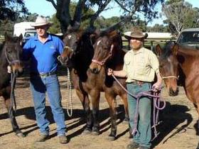 Accommodation Australia