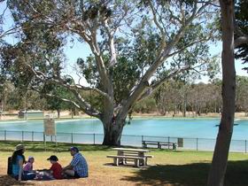 Naracoorte Nature Park And Swimming Lake - Local Tourism 0