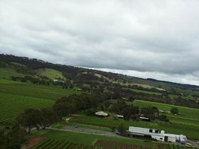 Kangarilla Road Vineyard And Winery - Accommodation Australia 0