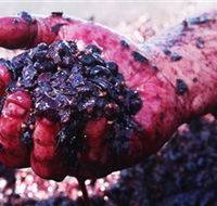 Rusden Wines - Local Tourism