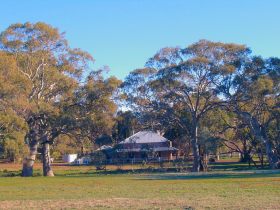 Old Wilpena Station - Local Tourism 0