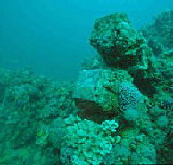 Adelaide's Underwater Heritage Trail - Local Tourism