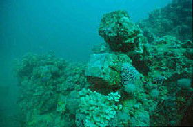 Adelaide's Underwater Heritage Trail - Accommodation Australia 0