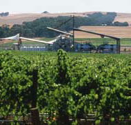 Kirrihill Wines - Local Tourism