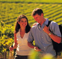 Lady Bay Vineyard - Local Tourism