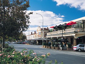 Hutt Street - Local Tourism 0