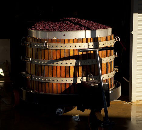 Greenock Creek Wines - Accommodation Australia 1