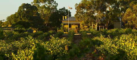 Greenock Creek Wines - Accommodation Australia 2