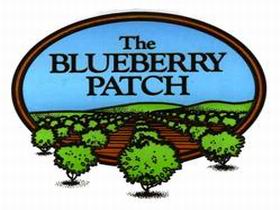 The Blueberry Patch - Local Tourism 0