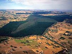 Mount Crawford Forest Reserve - Accommodation Australia 0